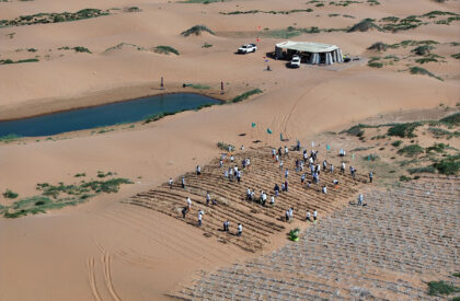 Desert Ark | designRESERVE