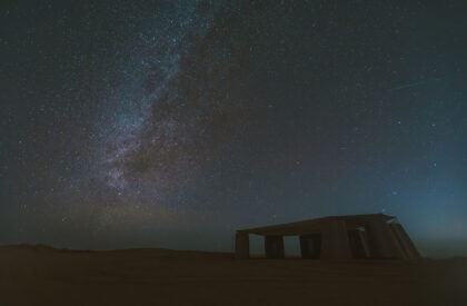 Desert Ark | designRESERVE