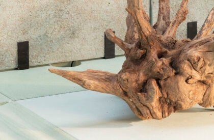 Essere Fiume | Studio Ossidiana