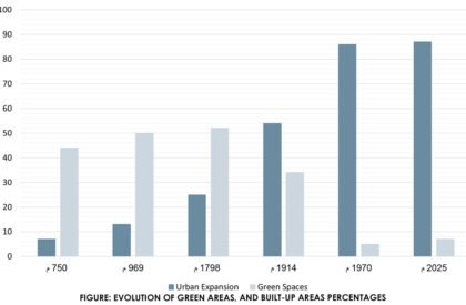 Chronoshift: Regenerative Architecture for Urban Regeneration and Heritage Revitalization in Old Cairo | Bachelor’s Design Thesis