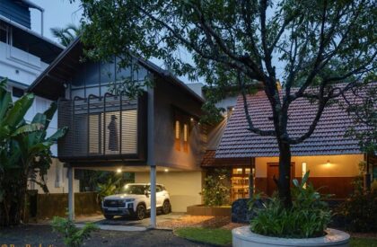 Eden Moss | Urbane Ivy