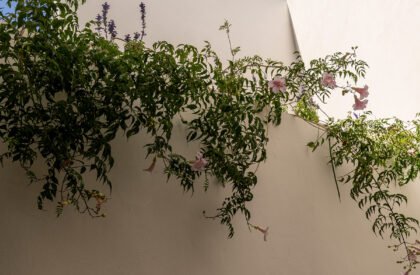 Auseva House | Graus