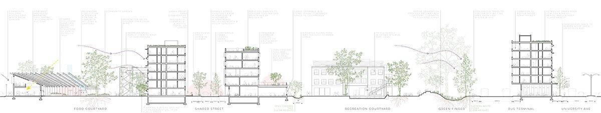 Commons by the Park: Activating Mutual Aid Networks | Bachelors Design Project on Mixed-Use Urban Development