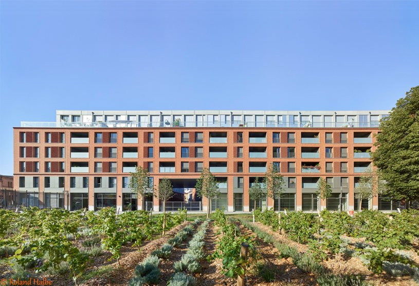 Cour du Dôme | TAA (Taillandier Architectes Associés)