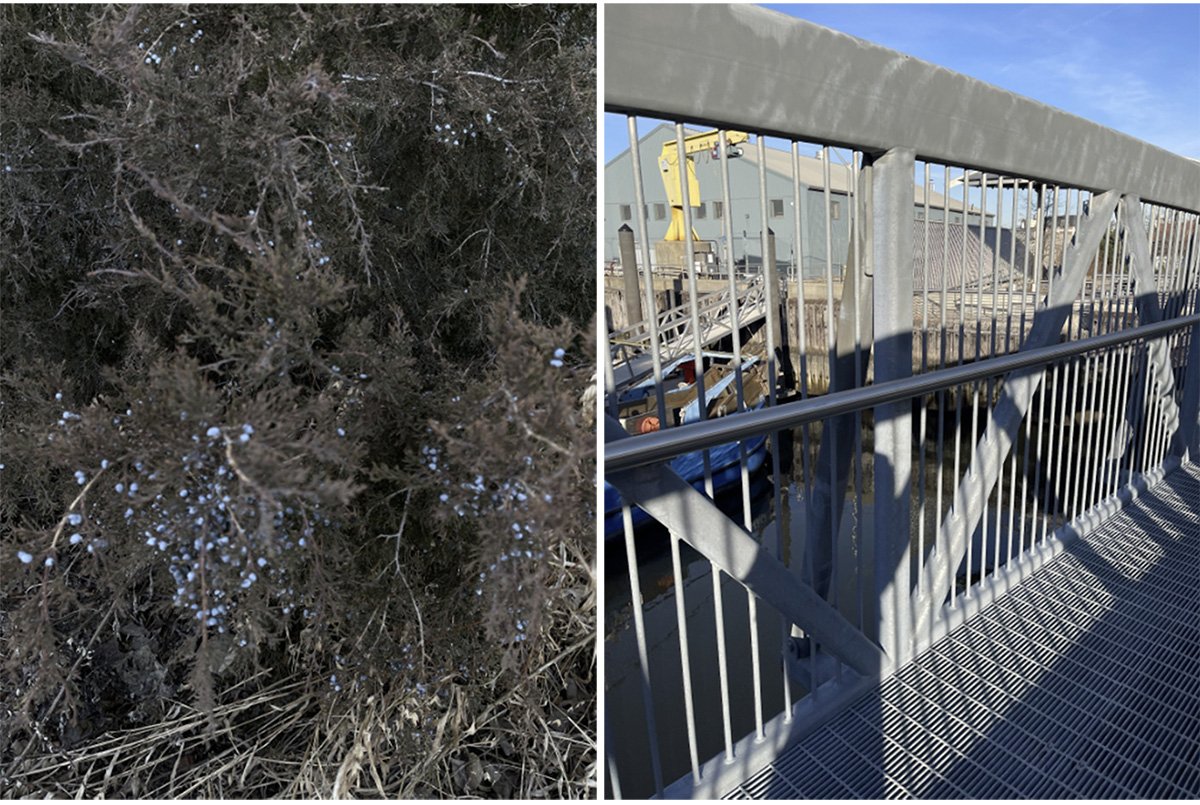 Shelled Audiokinesis: Sensory Architecture and Acoustic Urban Design at Newtown Creek | Bachelor’s Design Project