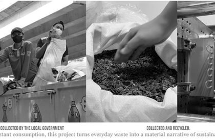 Lattice Creative Garden | RAD+ar