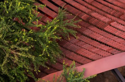 Lattice Creative Garden | RAD+ar