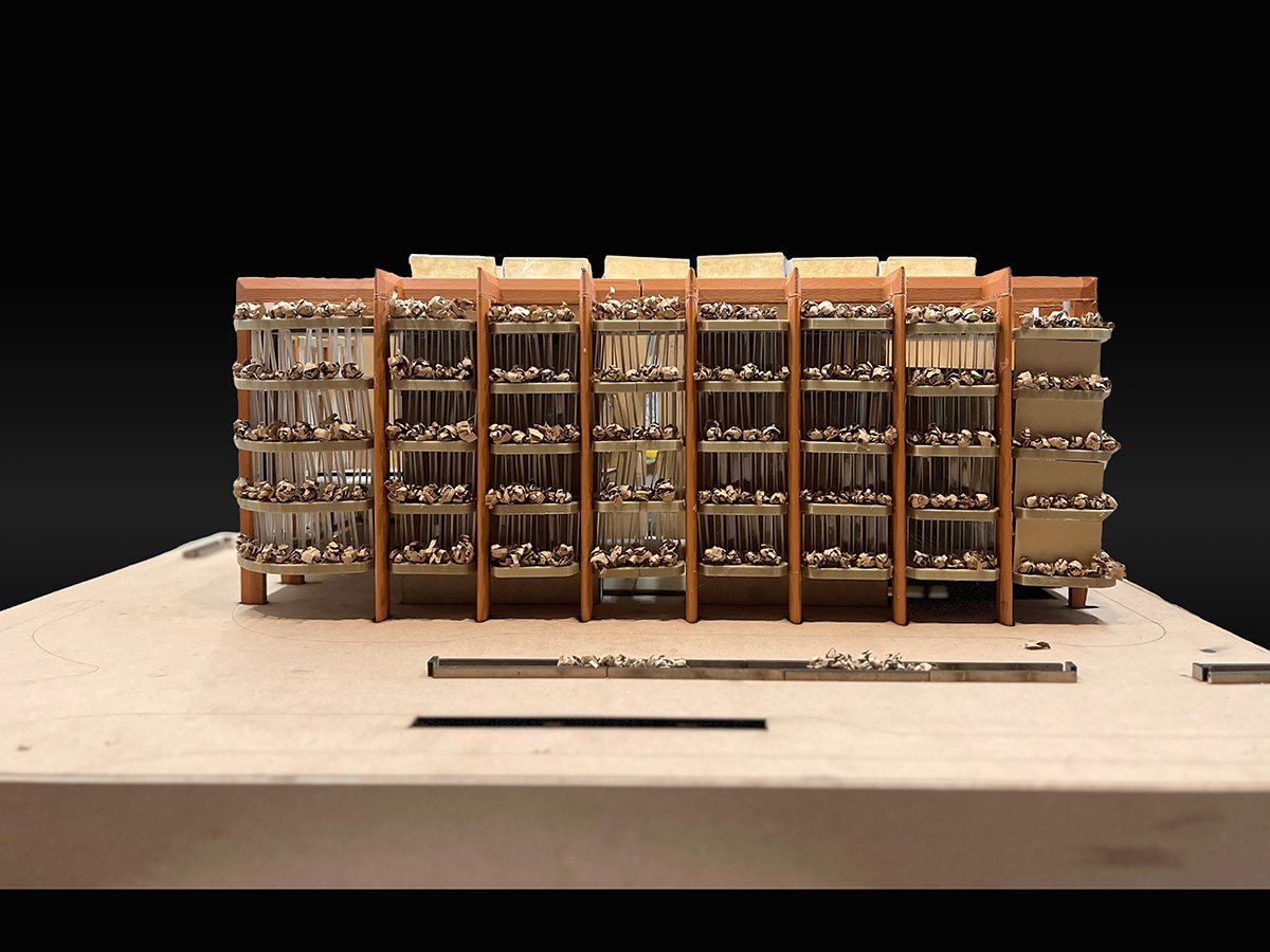 Assumptions to Inclusion – Rethinking the Social Datum: Inclusive Public Architecture for Everyday Urban Life in South Mumbai | Architecture Thesis on Urban Regeneration