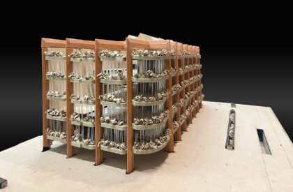 Assumptions to Inclusion – Rethinking the Social Datum: Inclusive Public Architecture for Everyday Urban Life in South Mumbai | Architecture Thesis on Urban Regeneration