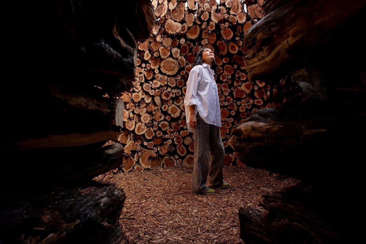 Socarrado | Nomad Studio