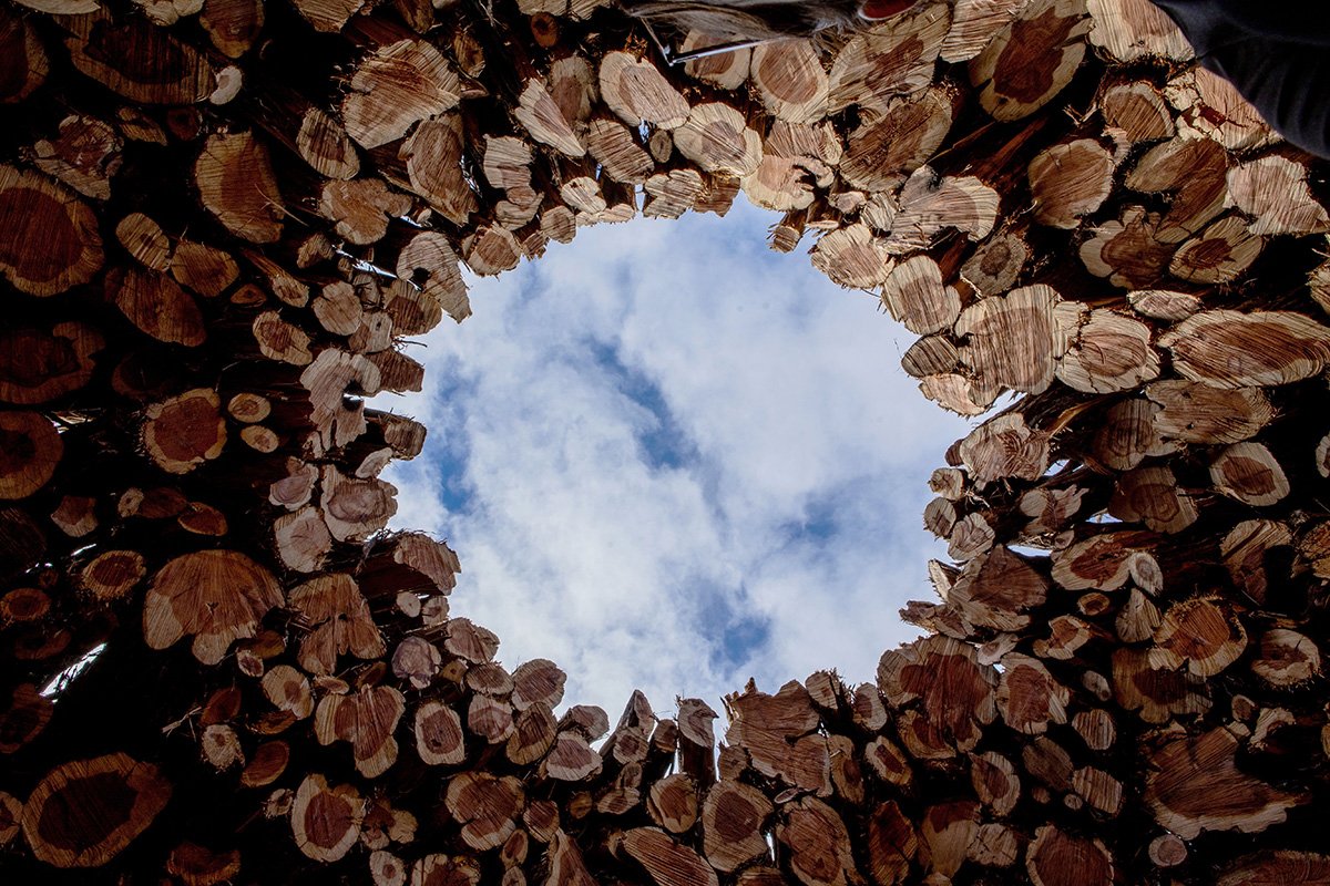 Socarrado | Nomad Studio