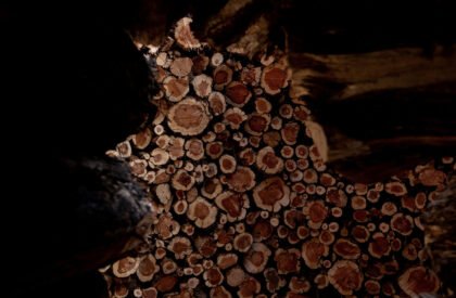 Socarrado | Nomad Studio