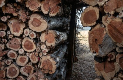 Socarrado | Nomad Studio