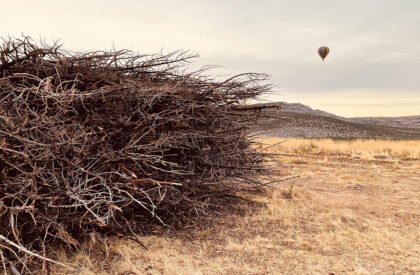 Socarrado | Nomad Studio