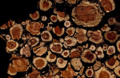 Socarrado | Nomad Studio