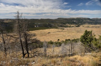 Socarrado | Nomad Studio