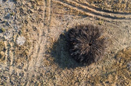 Socarrado | Nomad Studio