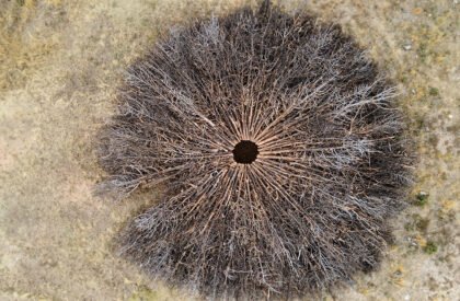 Socarrado | Nomad Studio