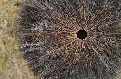 Socarrado | Nomad Studio