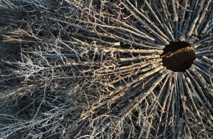 Socarrado | Nomad Studio