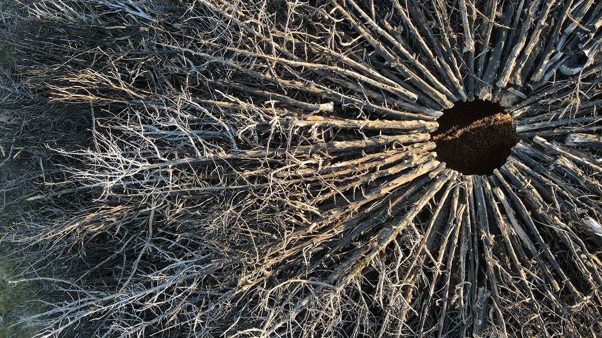 Socarrado | Nomad Studio