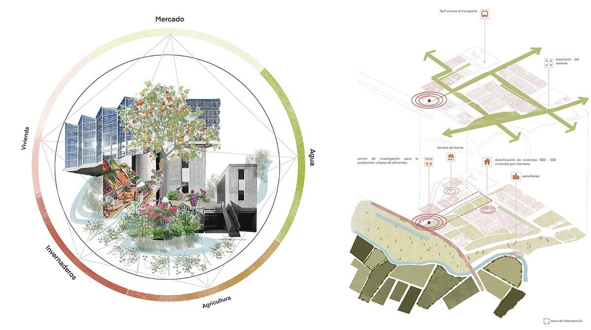 AGROHabitat: Reconnecting Housing, Agriculture, and Landscape at Bogotá’s Urban–Rural Edge | Bachelors Design Thesis