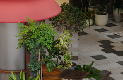 Foodie Social Dongtai | Say Architects