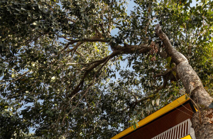 MAUSAM- Under The Jamun Tree | Myspace Architects