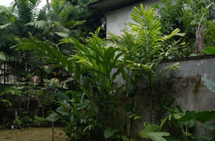 Professor’s Residence | VSP Architects