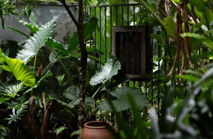 Professor’s Residence | VSP Architects