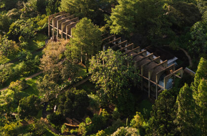 Sanctuary Tunnel Garden | RAD+AR