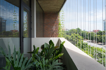 V3 House | TNT Architecture