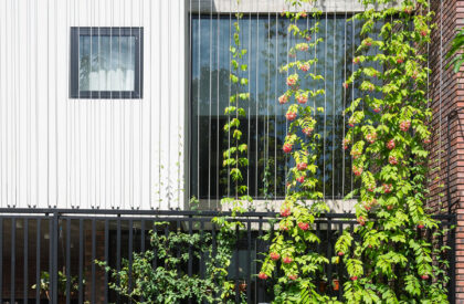 V3 House | TNT Architecture