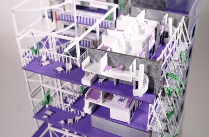 Sheep in Wolves Clothing: Designing Safe Housing and Collective Support Systems for Immigrant Communities | Bachelors Design Project