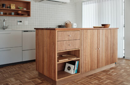 Apartment in Kichijoji | Roovice