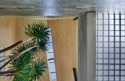 Bernaung House | RAD+ar