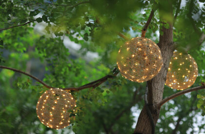 Qincheng Park | ProA Design