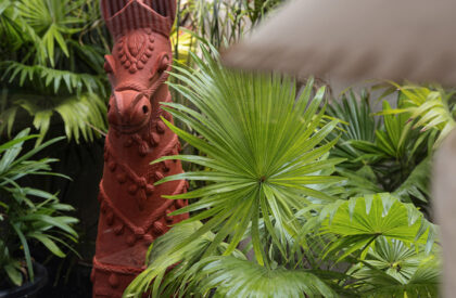 TropiBox Kochi | TAB/Tropical Architecture Bureau