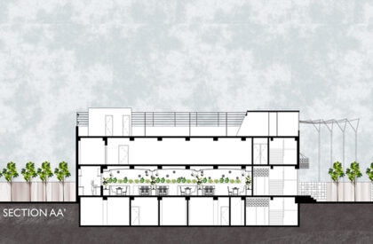 Twisted Roots | SferaBlu Architects + Naman Shah Architects