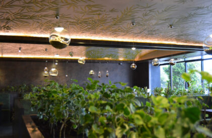Twisted Roots | SferaBlu Architects + Naman Shah Architects