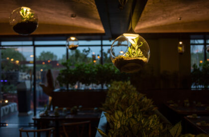 Twisted Roots | SferaBlu Architects + Naman Shah Architects
