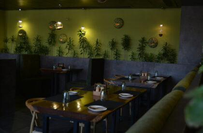Twisted Roots | SferaBlu Architects + Naman Shah Architects