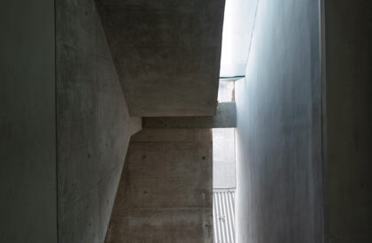 Urban Gauze | DOT