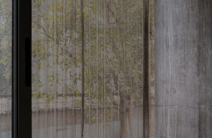 Urban Gauze | DOT