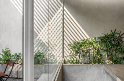 Urban Gauze | DOT