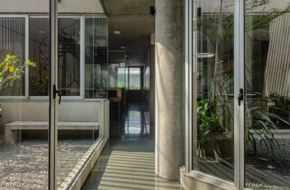 Urban Gauze | DOT