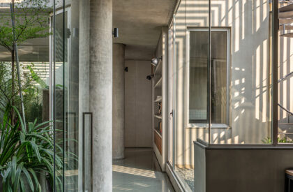 Urban Gauze | DOT