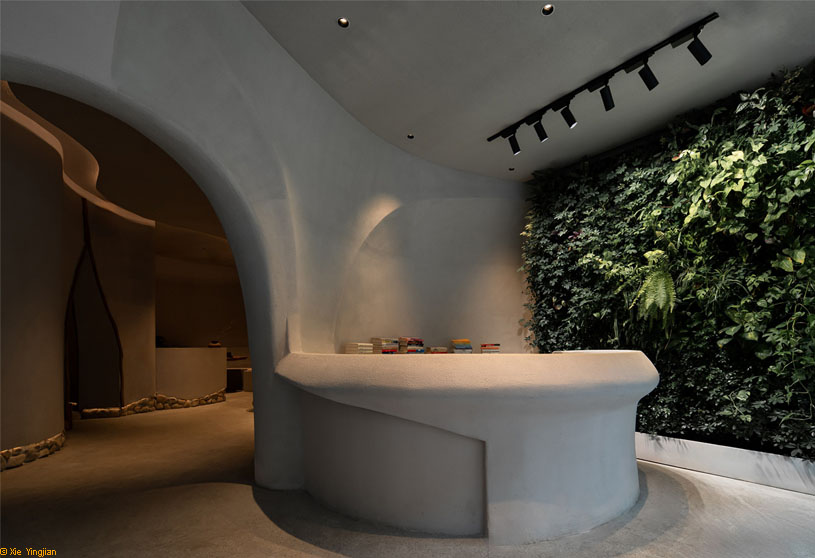 Velvi Tea & Spirits | Murong Design