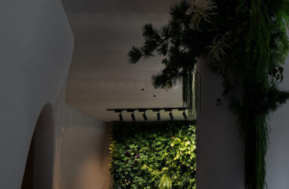 Velvi Tea & Spirits | Murong Design