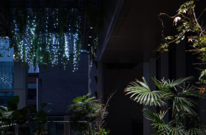 Velvi Tea & Spirits | Murong Design